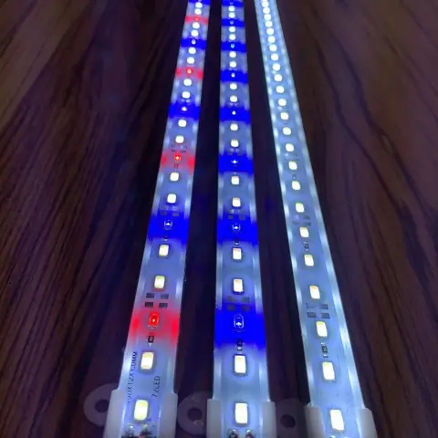 Aqualight LED lys