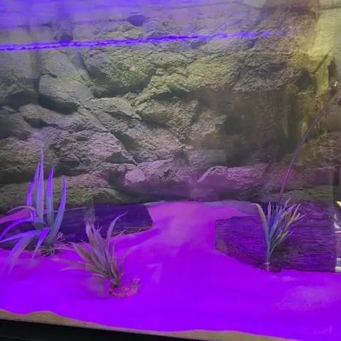 Aqualight RGB LED lys (16 farver)