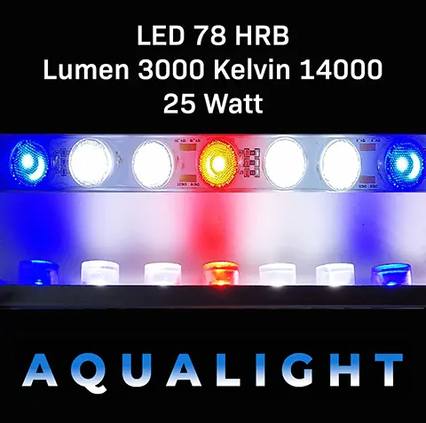 Aqualight LED lys 78 cm